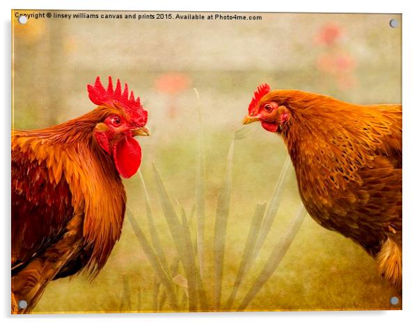  Hen Party, Do You Come Here Often? Acrylic by Linsey Williams