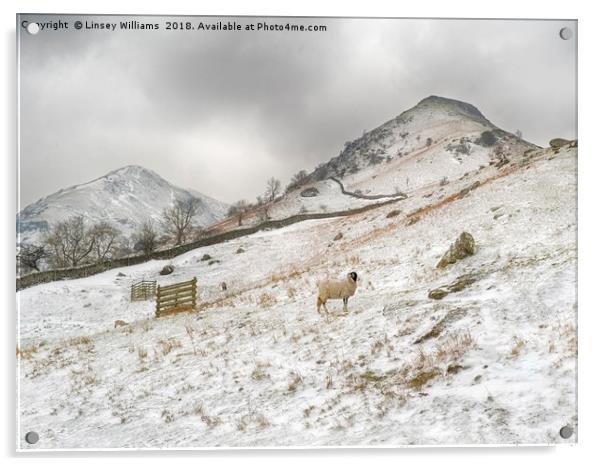 High Hartsop Dodd, Cumbria Acrylic by Linsey Williams