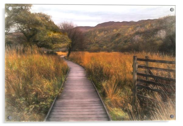 Autumn in Borrowdale, Cumbria Acrylic by Linsey Williams