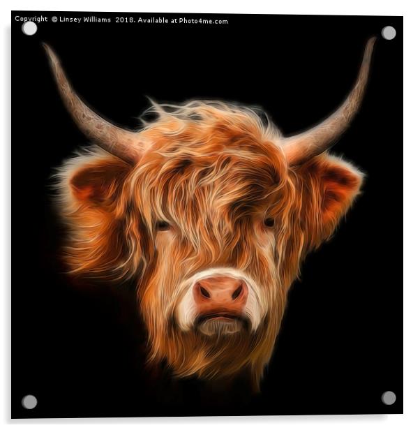 Highland Cow. Acrylic by Linsey Williams