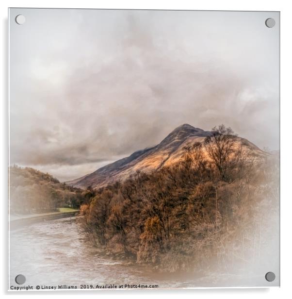 Beinn na Caillich, Scotland Acrylic by Linsey Williams