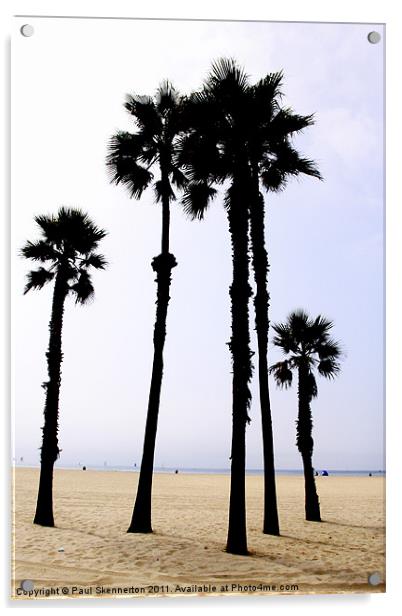 Santa Monica Beach Acrylic by Paul Skennerton