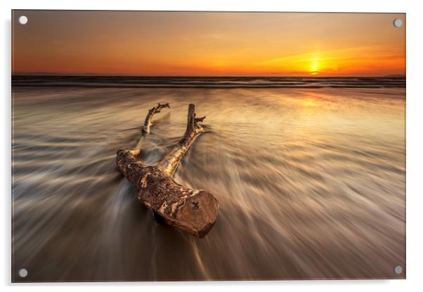 Driftwood Acrylic by J.Tom L.Photography