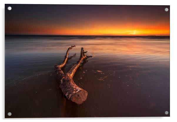 Driftwood ... Acrylic by J.Tom L.Photography