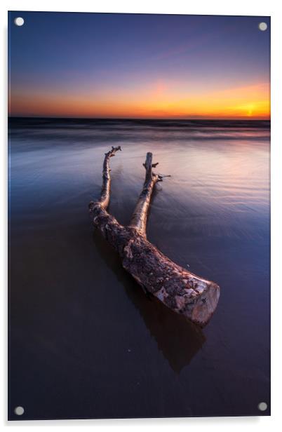 Driftwood on the Berrow beach  Acrylic by J.Tom L.Photography