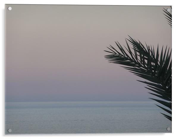 Sunset in Egypt Acrylic by Paula Jardine