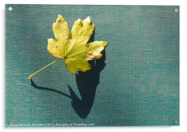Fallen Leaf Acrylic by Keith Mountford