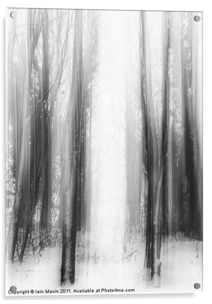 Snow Trees Acrylic by Iain Mavin
