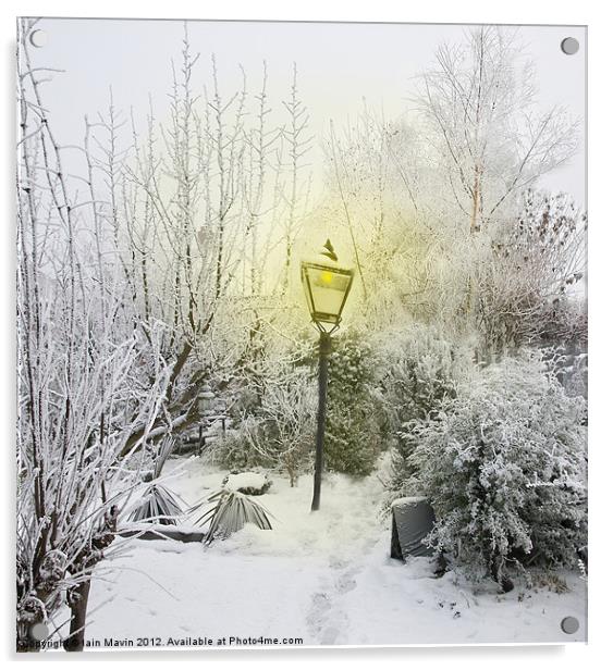 Narnia in my Garden Acrylic by Iain Mavin