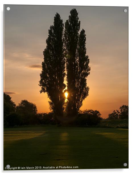 Sunset through Trees Acrylic by Iain Mavin