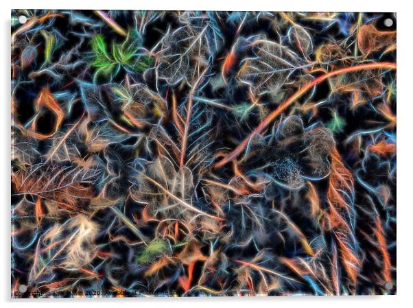 Abstracted Leaves Acrylic by Iain Mavin