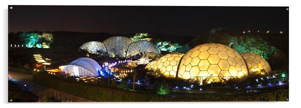 Eden project at night Acrylic by Nigel Hatton