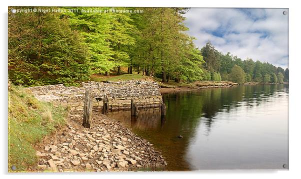 Old Bridge Acrylic by Nigel Hatton