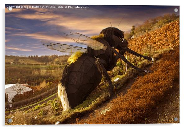 Big Bee Acrylic by Nigel Hatton