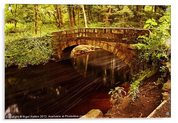 Footbridge over Rivelin River Acrylic by Nigel Hatton