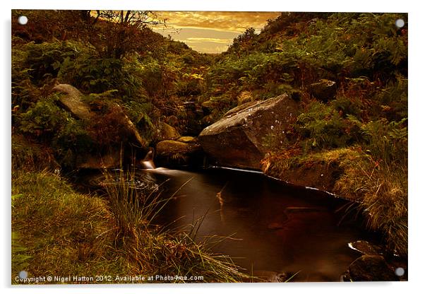 The Small Pool Acrylic by Nigel Hatton