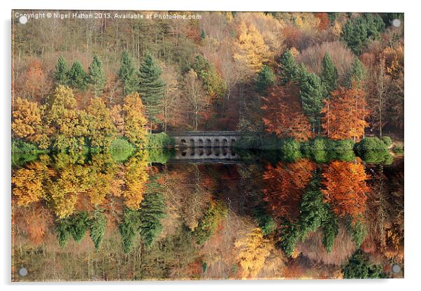 Autumn in Derwent Acrylic by Nigel Hatton