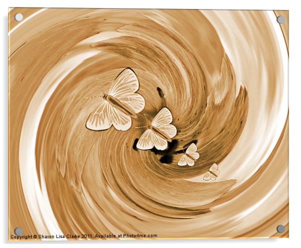 swirl of gold butterflies Acrylic by Sharon Lisa Clarke