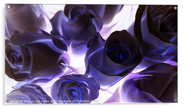 Indigo Roses Acrylic by Sharon Lisa Clarke
