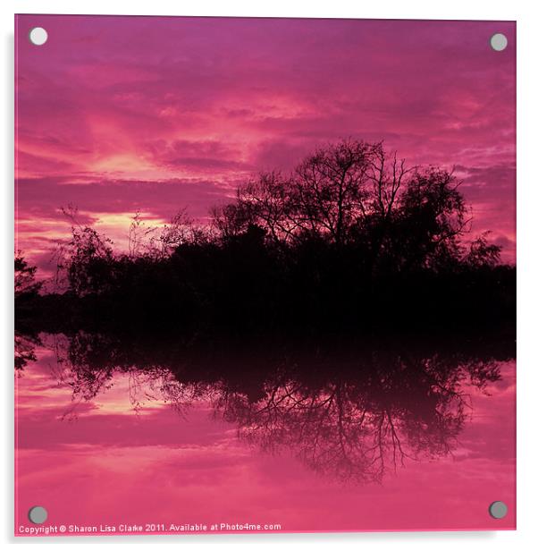 Sunset Reflection 2 Acrylic by Sharon Lisa Clarke