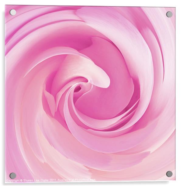 Pure pink Acrylic by Sharon Lisa Clarke