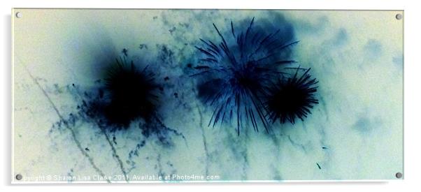 Fireworks Acrylic by Sharon Lisa Clarke