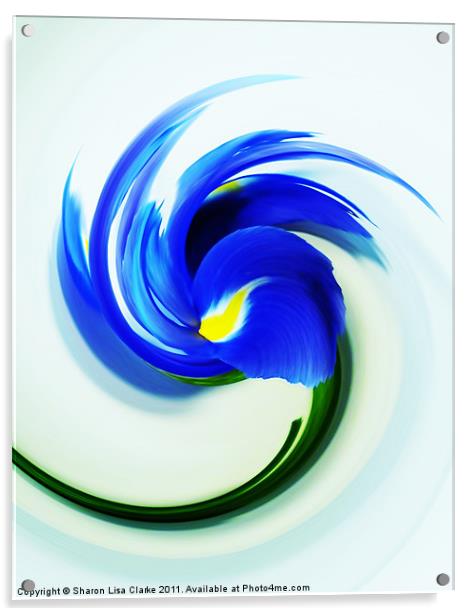 Iris Swirl Acrylic by Sharon Lisa Clarke