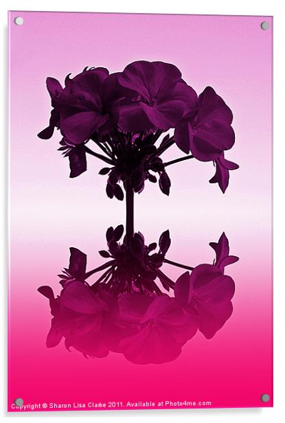 Geraniums Acrylic by Sharon Lisa Clarke