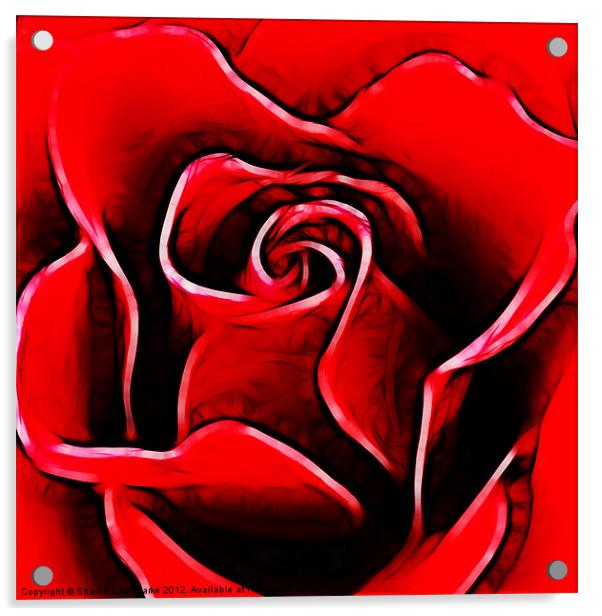 Red Rose Acrylic by Sharon Lisa Clarke
