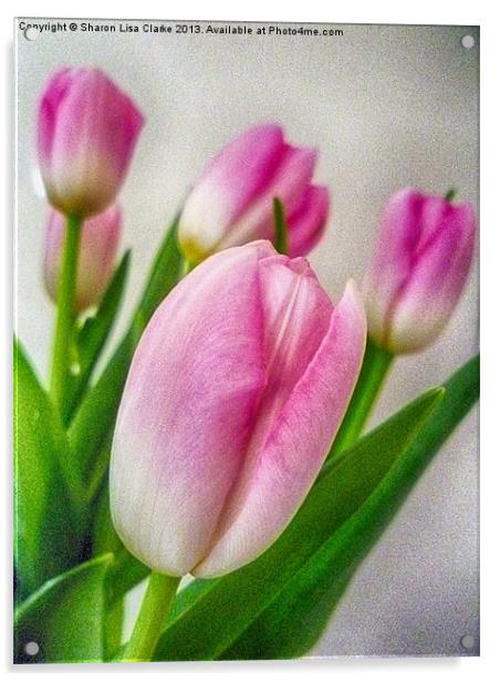 Textured Tulips Acrylic by Sharon Lisa Clarke