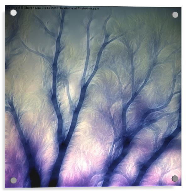 Mystic trees Acrylic by Sharon Lisa Clarke