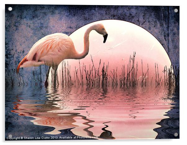 Flamingo Moon Acrylic by Sharon Lisa Clarke