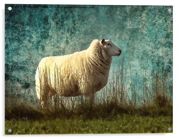 Vintage Sheep Acrylic by Sharon Lisa Clarke