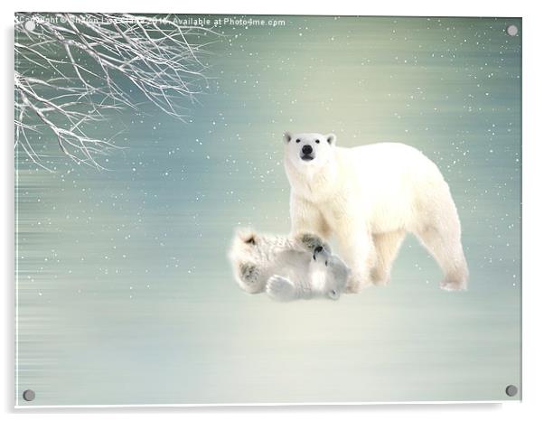  Arctic Family Acrylic by Sharon Lisa Clarke