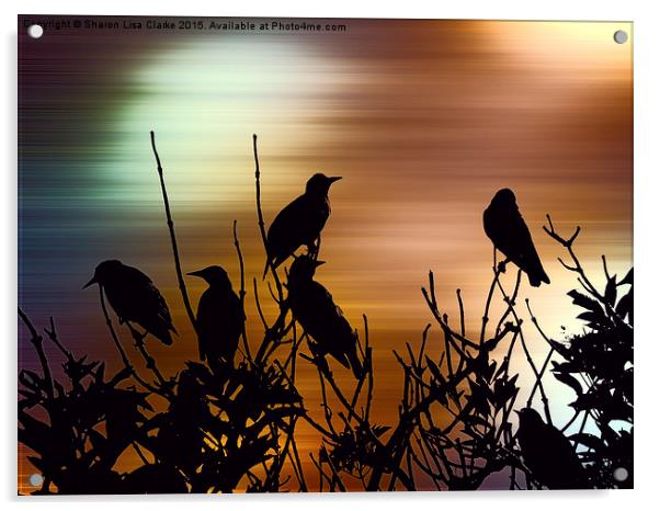 Vibrant dawn Acrylic by Sharon Lisa Clarke