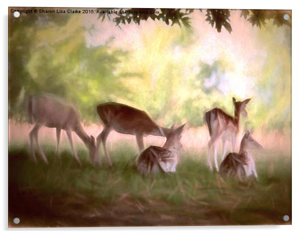 Deer Park Acrylic by Sharon Lisa Clarke