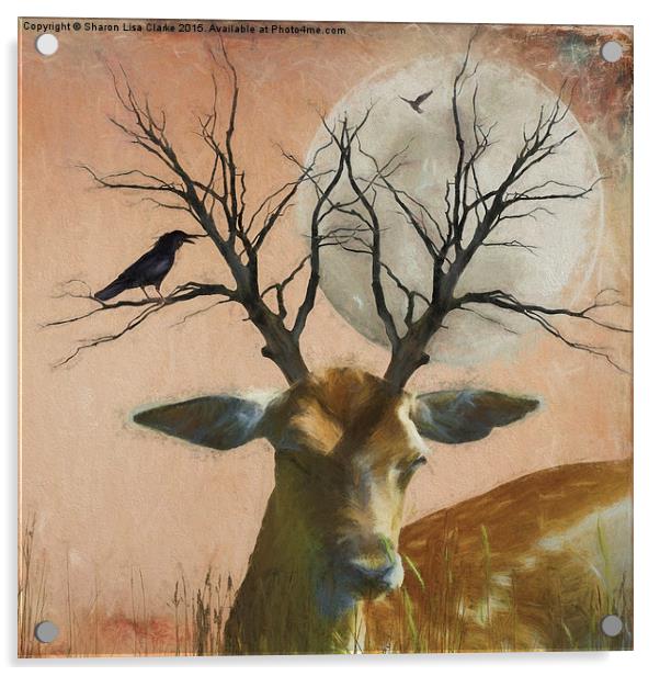  Goodnight Deer Acrylic by Sharon Lisa Clarke