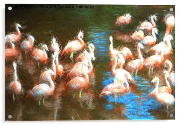 Flamingo dance Acrylic by Sharon Lisa Clarke