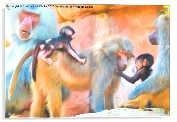  Baboons Acrylic by Sharon Lisa Clarke