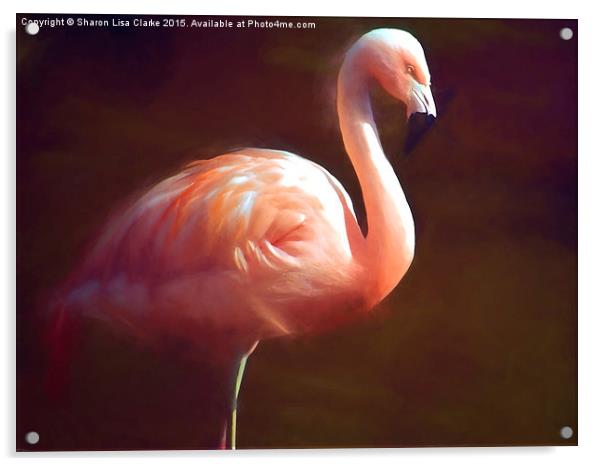  Flamingo dream Acrylic by Sharon Lisa Clarke