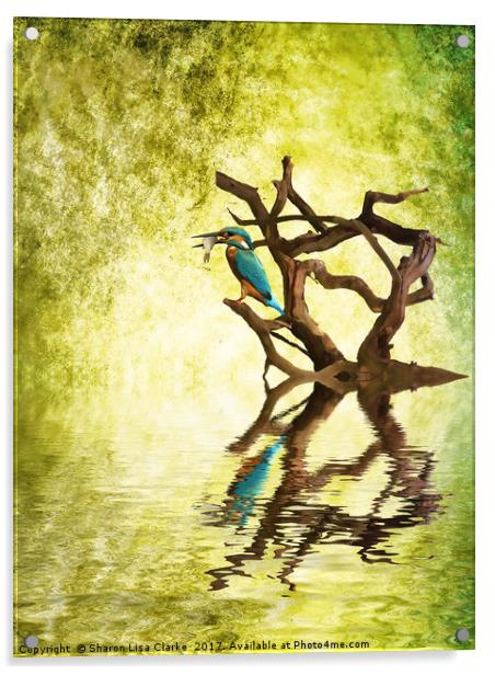 Kingfishers Supper Acrylic by Sharon Lisa Clarke