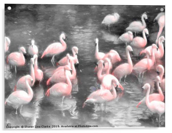 Flamingo party time Acrylic by Sharon Lisa Clarke