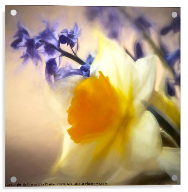 Spring Awakens Acrylic by Sharon Lisa Clarke