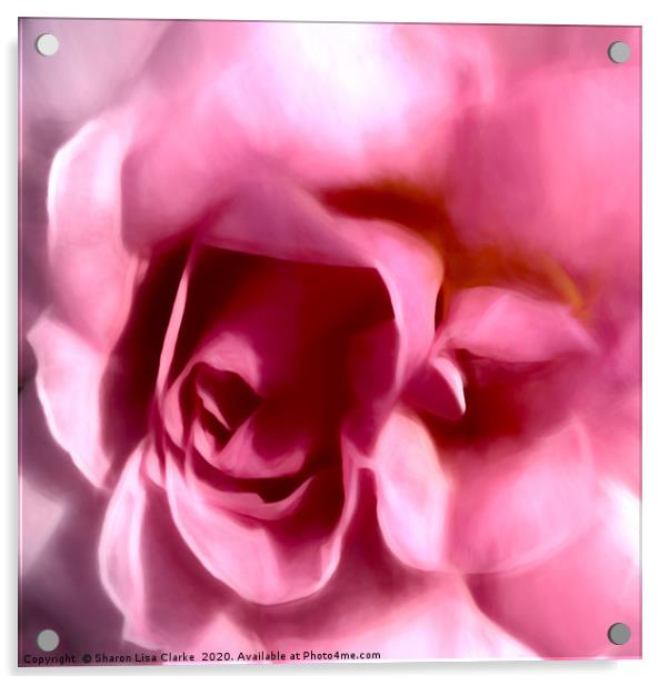 Pink rose romance Acrylic by Sharon Lisa Clarke