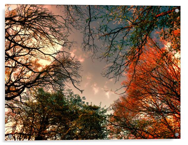 Autumn storms Acrylic by Sharon Lisa Clarke