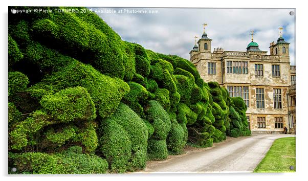 Audley End House Acrylic by Pierre TORNERO