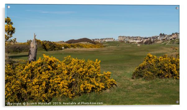 Lossiemouth Moray Golf Course Gorse Acrylic by Scott K Marshall