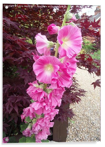 Hollyhock and Acer Acrylic by Laura Jarvis