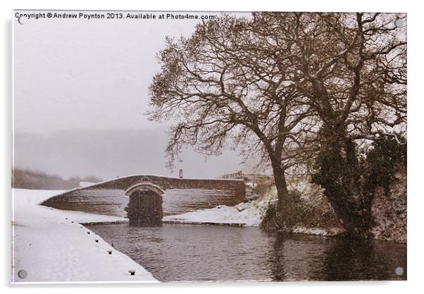 HINKSFORD LOCK SWINDON DUDLEY Acrylic by Andrew Poynton