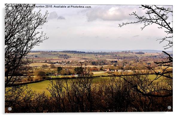  Wombourne view Acrylic by Andrew Poynton